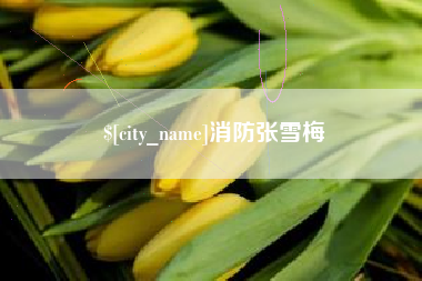 景德镇消防张雪梅