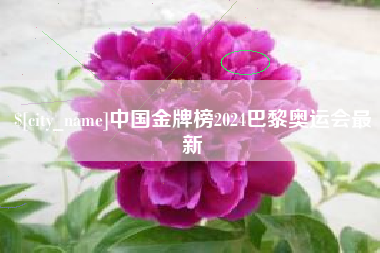 景德镇中国金牌榜2024巴黎奥运会最新