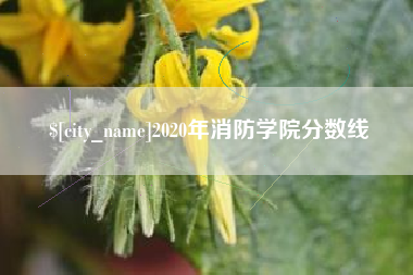 景德镇2020年消防学院分数线