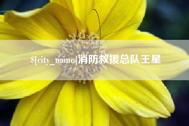 景德镇消防救援总队王星