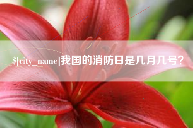 景德镇我国的消防日是几月几号？