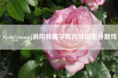 景德镇消防救援学院内部招生分数线