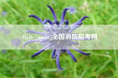 景德镇全国消防招考网