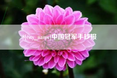 景德镇中国冠军手抄报