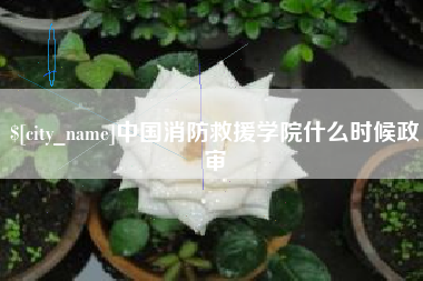 景德镇中国消防救援学院什么时候政审