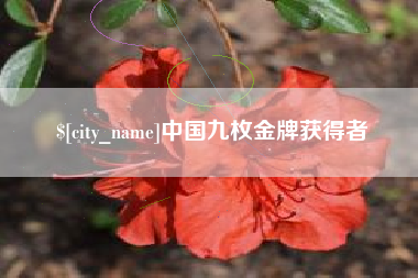 景德镇中国九枚金牌获得者