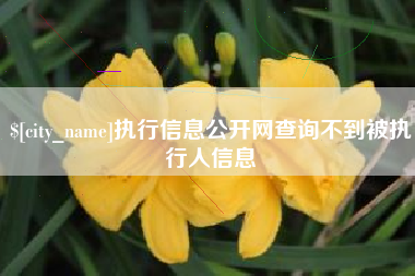 景德镇执行信息公开网查询不到被执行人信息