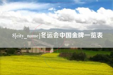 景德镇冬运会中国金牌一览表