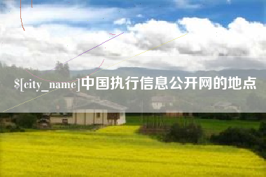 景德镇中国执行信息公开网的地点