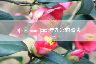 景德镇2021年九宫对照表
