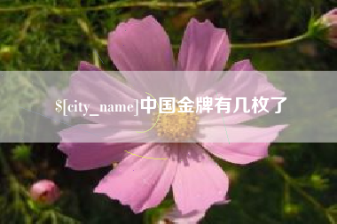 景德镇中国金牌有几枚了