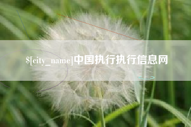 景德镇中国执行执行信息网