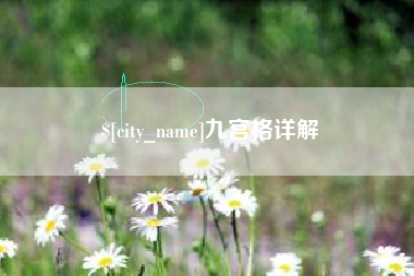 景德镇九宫格详解