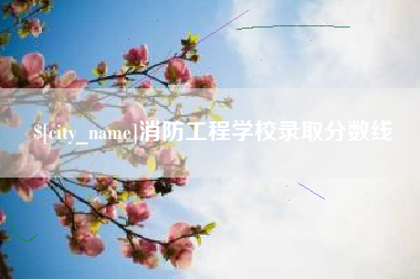 景德镇消防工程学校录取分数线