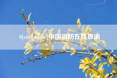 景德镇中国消防在线查询
