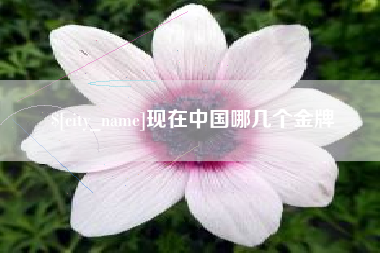 景德镇现在中国哪几个金牌