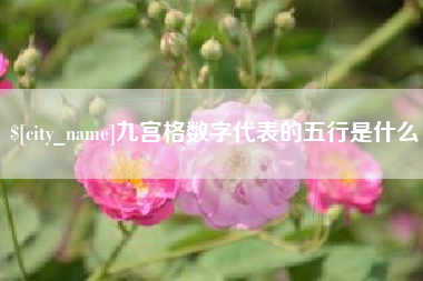 景德镇九宫格数字代表的五行是什么