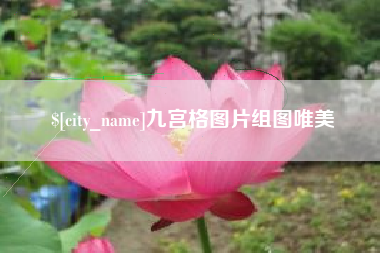 景德镇九宫格图片组图唯美