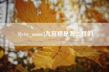 景德镇九宫格是怎么样的
