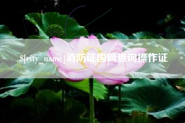 景德镇消防证国网查询操作证