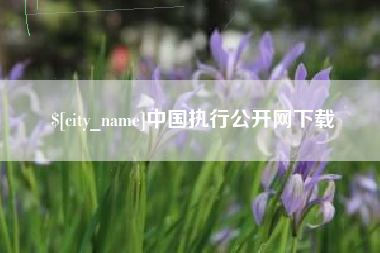 景德镇中国执行公开网下载