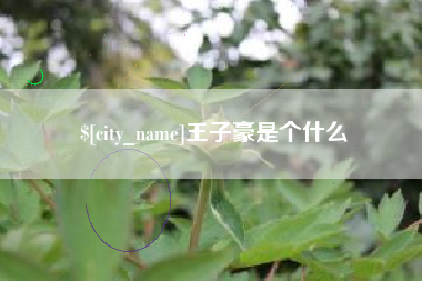 景德镇王子豪是个什么