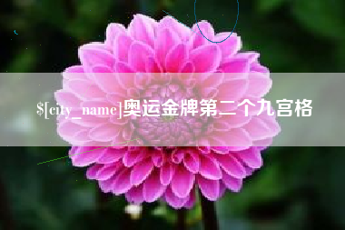 景德镇奥运金牌第二个九宫格