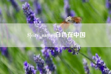 景德镇白色在中国