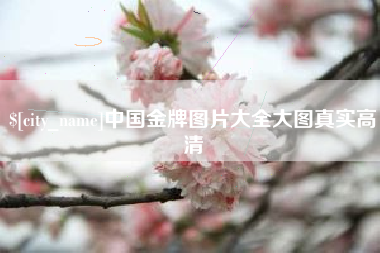 景德镇中国金牌图片大全大图真实高清
