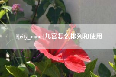 景德镇九宫怎么排列和使用