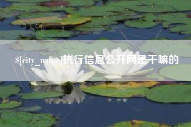 景德镇执行信息公开网是干嘛的