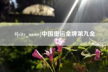 景德镇中国奥运金牌第九金