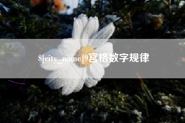 景德镇9宫格数字规律
