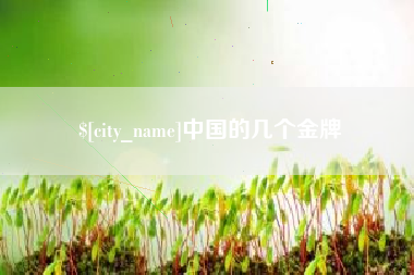 景德镇中国的几个金牌