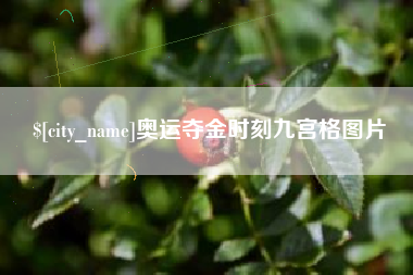 景德镇奥运夺金时刻九宫格图片