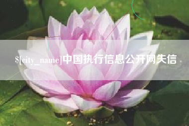 景德镇中国执行信息公开网失信