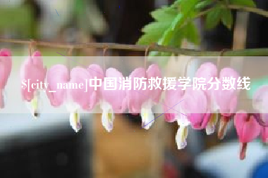 景德镇中国消防救援学院分数线