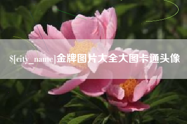景德镇金牌图片大全大图卡通头像