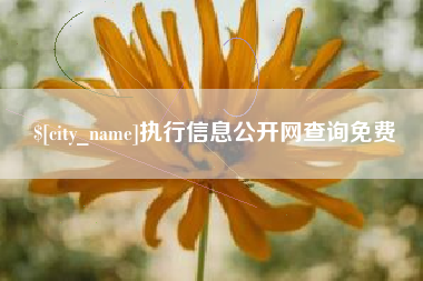 景德镇执行信息公开网查询免费
