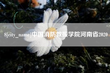 景德镇中国消防救援学院河南省2020